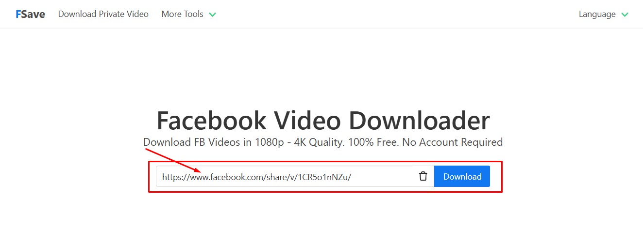 Paste the copied link to Fsave.io