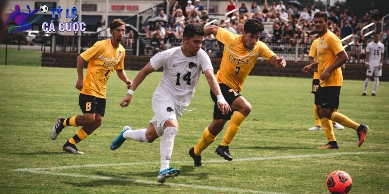 cong-nghe-ty-le-ca-cuoc