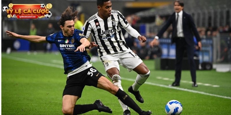 ty-le-ca-cuoc-dat-dung-luc