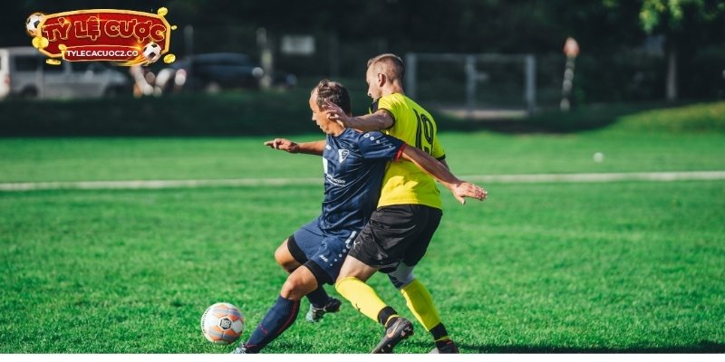 ty-le-ca-cuoc-phan-mem