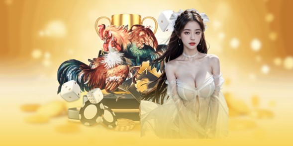 ga888-da-ga-truc-tiep-giai-tri-hop-phap