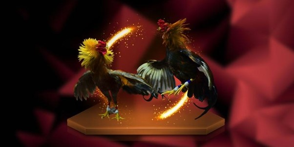 da-ga-alo789-ban-sac-dau-truong